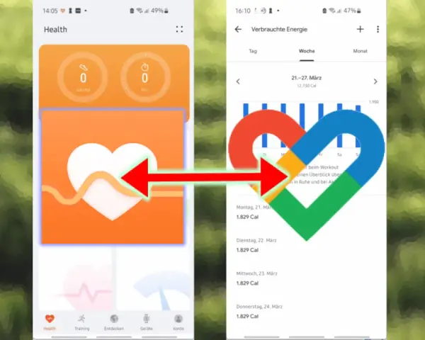 Google Fit: Welche Apps verbinden? Ihr ultimativer Leitfaden